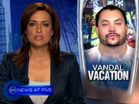 ***VANDAL VACATION***