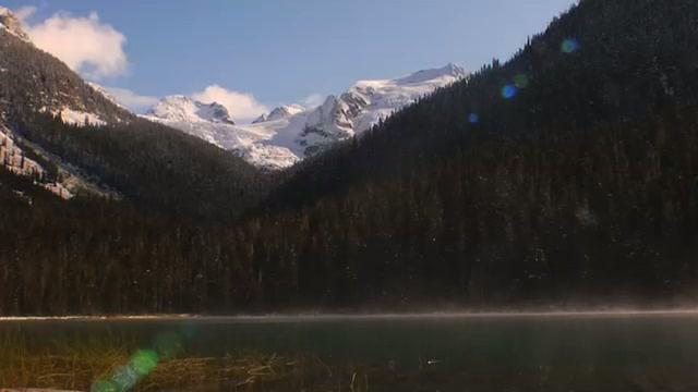 View Video