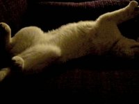 nap by darby