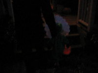 Trick or Treat!