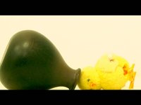 Chicken Annihiliation ~ To Kill a Walking Bird  '^'
