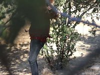 An American Werewolf in SD