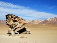 ROCAS EXTRAORDINARIAS