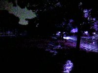 A Walk in the rain