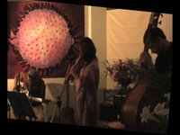 Acoustic Session at The Studio