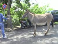 La Tonna