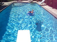 Pool Dive Vid