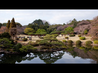 2009/04/09 Tokyo - Nature 720p
