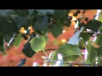 Alpha- Blue Autumn/My Elementary kids: Capturing Fall