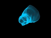 Vertex Aggregation