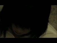 Border Line Trailer