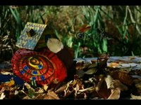 Thank God I'm Not A Snail - Stop Motion