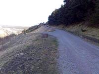 View of Maendy Run