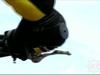 Stomp Highlights