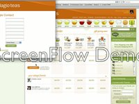 ScreenFlow3