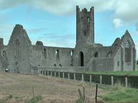 Kilmallock Friary