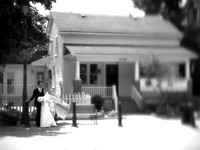 Wedding Highlights