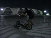 FreeStyler