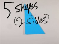 5 Shapes