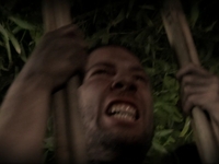 Videoclip En Animales