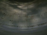 tower lapse