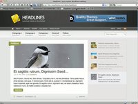 Setting up widgets on a WooThemes website