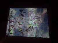 EV-Live-MistyStation