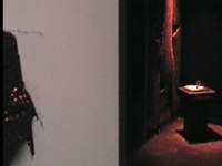 Inside the Beehive - Esther Mañas & Arash Moori - ARCO09