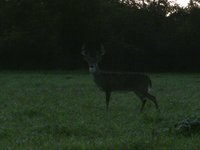 Close Encounters 2009