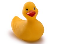 C4D Ducky