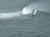 WCT2009