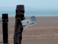 Dakhla 2009 Kitesurf