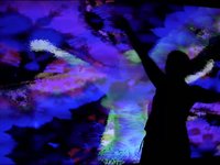 Electric Heliotrope Theater - Dance 3 - Surprise