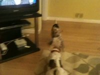Stalemate