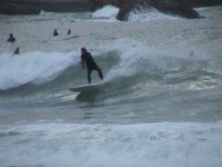 Regis Surf - Grande Plage - Biarritz - 1009