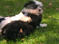 Ebbie & Lillie fun in the sun