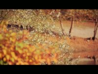 Walk With Me - Jacob Doran