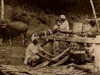 Rediscover Silay