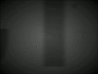 CT3