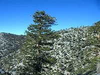 Jinxi & Steve Hiking Up Mount Baldy