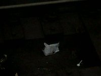 Urban Struggle- round food, square hole