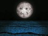 videoart