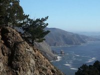 Water&Wood ( California )