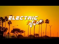 YanLarson - Electric vice