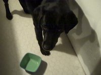baby chili eating popcorn