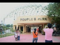 Afternoon at the People's Park