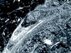 Softimage ICE Videos