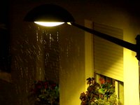 ploU'