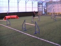 Agilitytrening 07.11.09