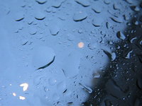 295 / drip drops